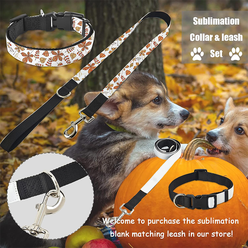 Sublimation Pet Products,Pet Collar 72.5cm x 2.5cm